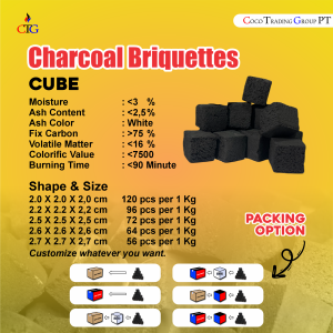CHARCOAL BRIQUITTE CUBE