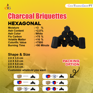 CHARCOAL BRIQUITTE HEXAGONAL