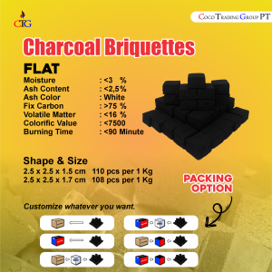 CHARCOAL BRIQUITTE FLAT