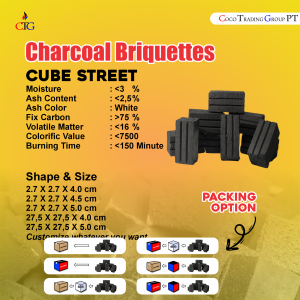 CHARCOAL BRIQUITTE CUBE STREET