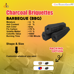 CHARCOAL BRIQUITTE BARBEQUE