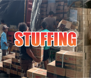 STUFFING | PT CTG / Supplier Charcoal Briquitte / 100% Made in Indonesia, Export Quality